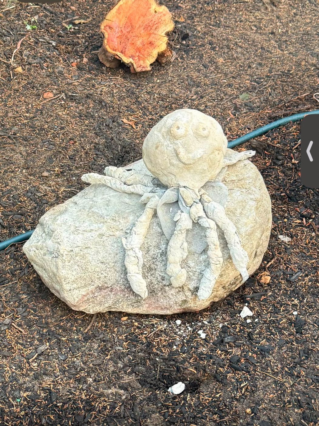 IMG_7254-art-octopus.jpg